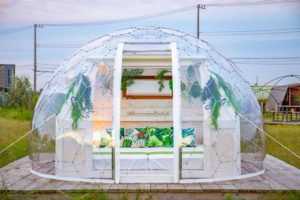 木更津 Wild Beach Seaside Glamping Parkの宿泊グランピング利用料金や食事メニューに口コミまとめ グランプレス 木更津 Wild Beach Seaside Glamping Parkの宿泊グランピング利用料金や食事メニューに口コミまとめ グランプレス